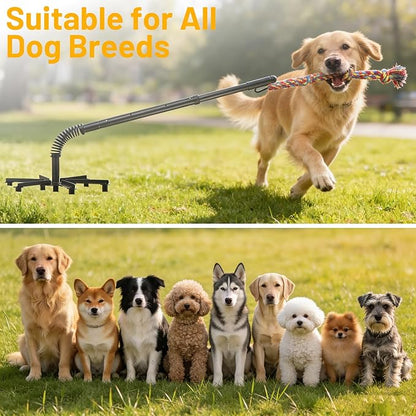 Tether Tug Outdoor Dog Toy,Tether Tug For Large Dogs,Spring Pole For Dogs in Park,Yard,Lawn,2 Rope Toy and Bell Pull Chase and Solo Play,Tether Interactive Dog Tug Toy,For Medium Small Dogs(Black)