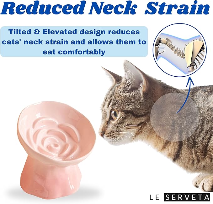 Elevated Ceramic Cat Bowl, Tilted Slow Feeder Pet Dish with Gradient Color Coating, 3.3 Ounces Capacity, Anti-Gulping Design with Rose Bouquet Design (Gradient Pink)