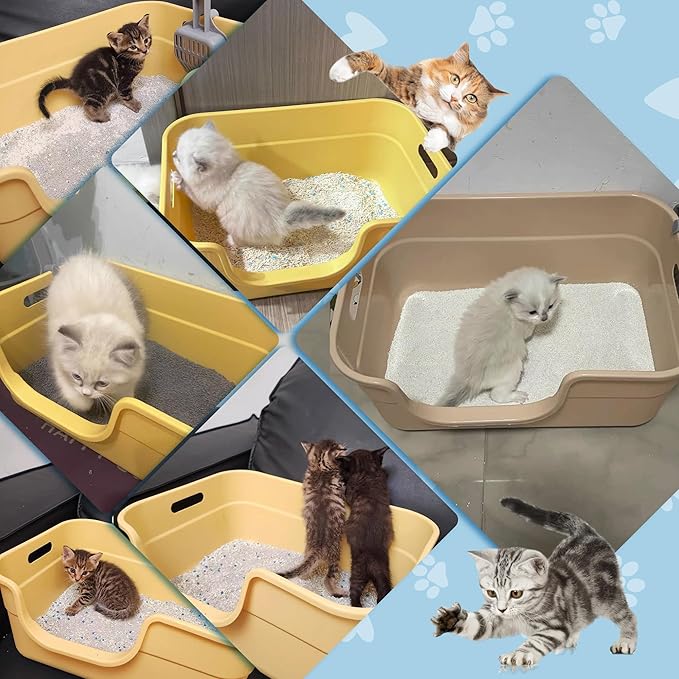2 Pack Low Entry Kitty Litter Box for Small Cats, Kittens Litter Boxes with High Sides, Open Top, Anti-Splash Plastic Litter Pan for Medium Pets, Easy to Clean, 16.5" L*11.8" W*7" H (Grey)