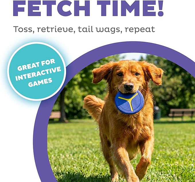 Outward Hound FlyFetch Disc Launcher Dog Toy, Launches Up to 3X Farther, Ergonomic Handle, Durable Rubber Disc, All Breeds