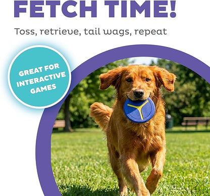 Outward Hound FlyFetch Disc Launcher Dog Toy, Launches Up to 3X Farther, Ergonomic Handle, Durable Rubber Disc, All Breeds