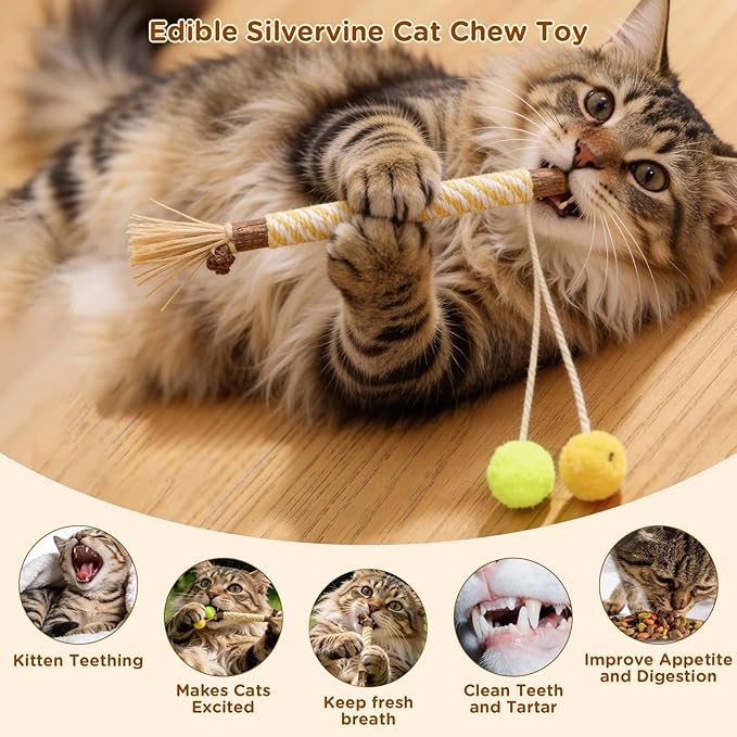 Catnip Toys for Indoor Cats - Silvervine Sticks & Cat Chew Toys for Teeth Cleaning - Refillable Natural Catnip & Silvervine Kit for Kittens & Adult Cats - 8 Pack