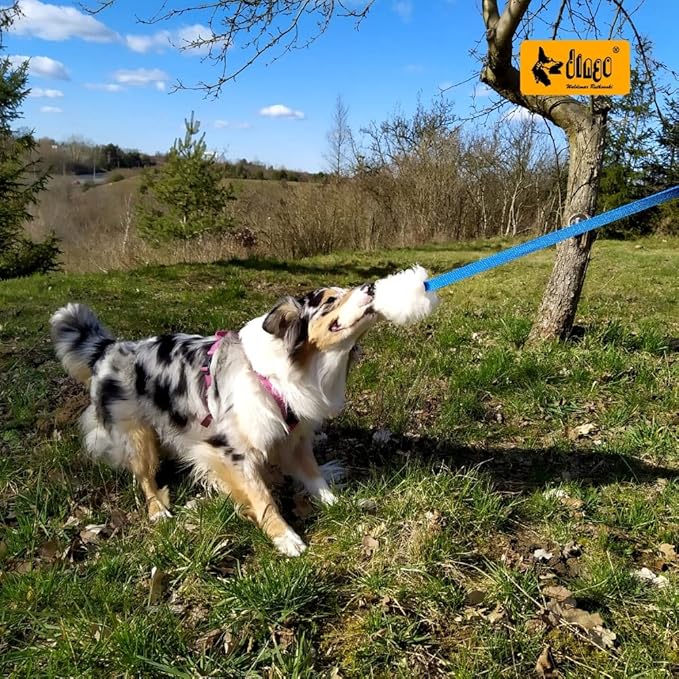 Dingo Sheepskin Dog Toy with Long Blue Lead 50", Interactive Dog Toys, Dog Agility, Motivation and Reward tug Toy 15583,
