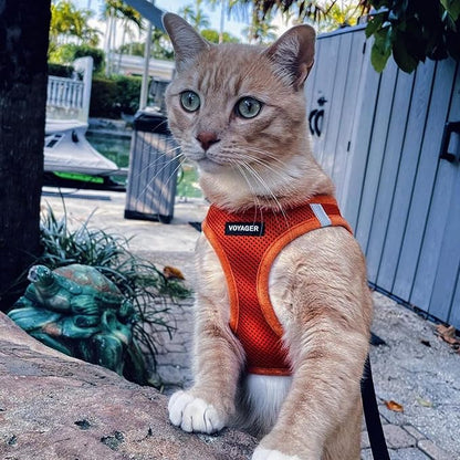 Best Pet Supplies Voyager Step-in Air Harness - All Weather Mesh, Reflective, No Pull Harness for Dogs, Cats - Secure with Hook & Loop Fastener, Buckle, Double D-Rings - Orange, M