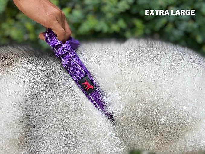 Heavy Duty Dog Collar with Handle | Ballistic Nylon Heavy Duty Collar | Padded Reflective Dog Collar with Adjustable Stainless Steel Hardware | Convenient Sizing for All Breeds X-Large (19-23" Neck)
