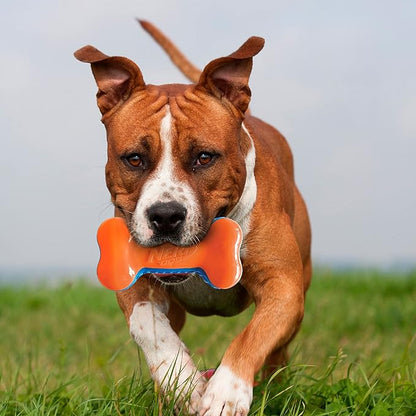 7in TPR EXO Squeak Bone - Blue/Orange