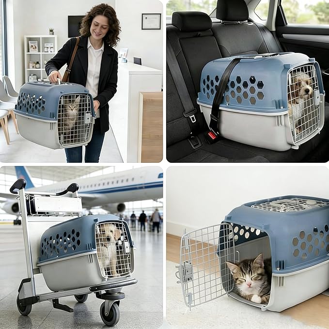 24" Pet Kennel Carrier for Small Dogs & Cats, Portable Travel & Home Use Two-Door (Top/Front Loading) Plastic Crate for 15-25 lbs Pets, Durable Blue