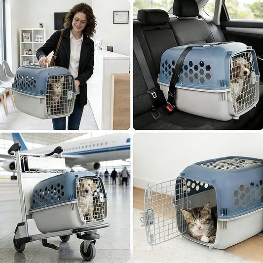 24" Pet Kennel Carrier for Small Dogs & Cats, Portable Travel & Home Use Two-Door (Top/Front Loading) Plastic Crate for 15-25 lbs Pets, Durable Blue