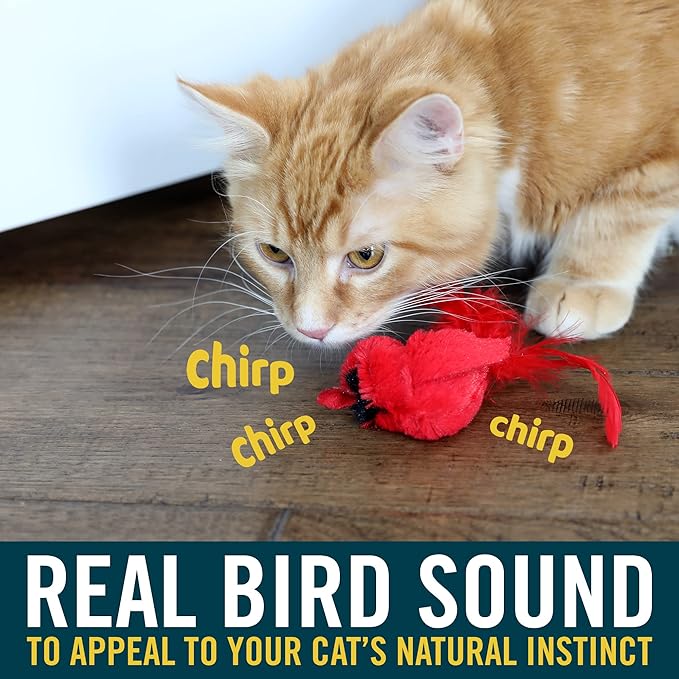 OurPets Play-N-Squeak Real Birds Interactive Cat Toys with Catnip (Cat Toys for Indoor Cats; Catnip Toy for Cats with Bird Chirping Electronic Sound and Feather)