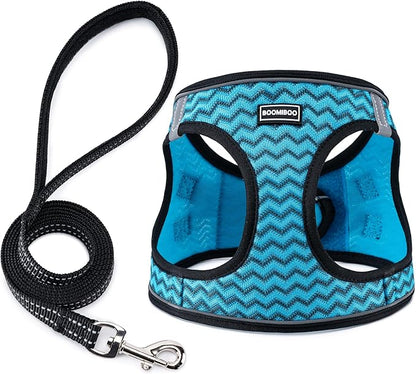 BOOMIBOO Dog Harness with Leash Set, No Pull Adjustable Reflective Step-in Puppy Pet Vest Harnesses for Small Medium Large Dogs and Cats,Blue Stripe XS