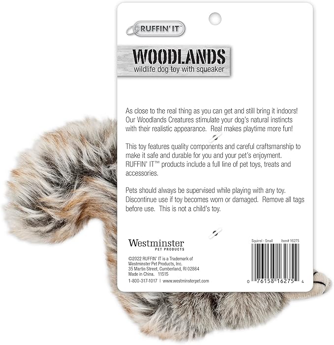 RUFFIN' IT Woodlands Plush Squirrel Dog Toy, Small