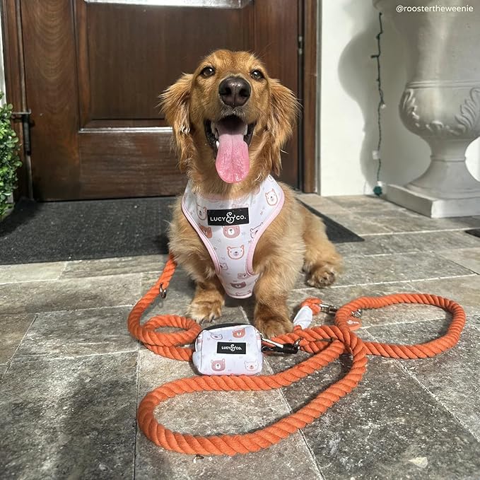 Spice Hands-Free Rope Leash