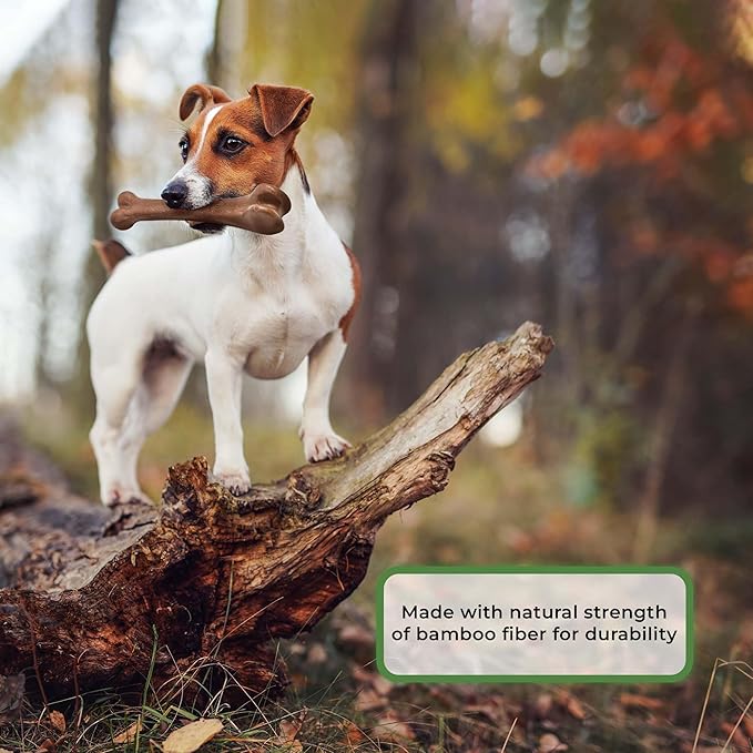 SPOT Bam-Bones Bone - Made with Strong Bamboo Fiber, Durable Long Lasting Dog Chew for Light to Moderate Chewers, Great Toy for Adult Dogs & Teething Puppies under 40lbs, 7.25in, Bacon Flavor