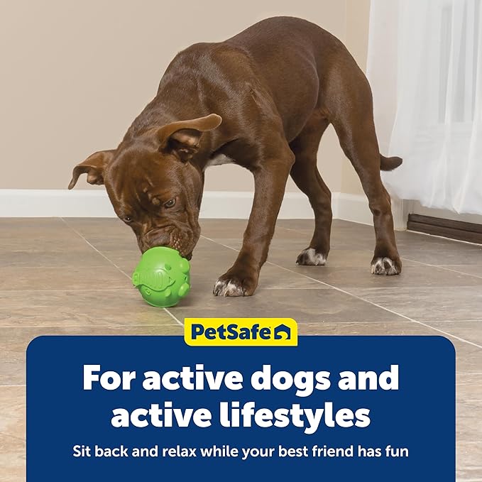 PetSafe Busy Buddy Elephunk Dog Chew Toy - Treat Dispenser - Medium/Large