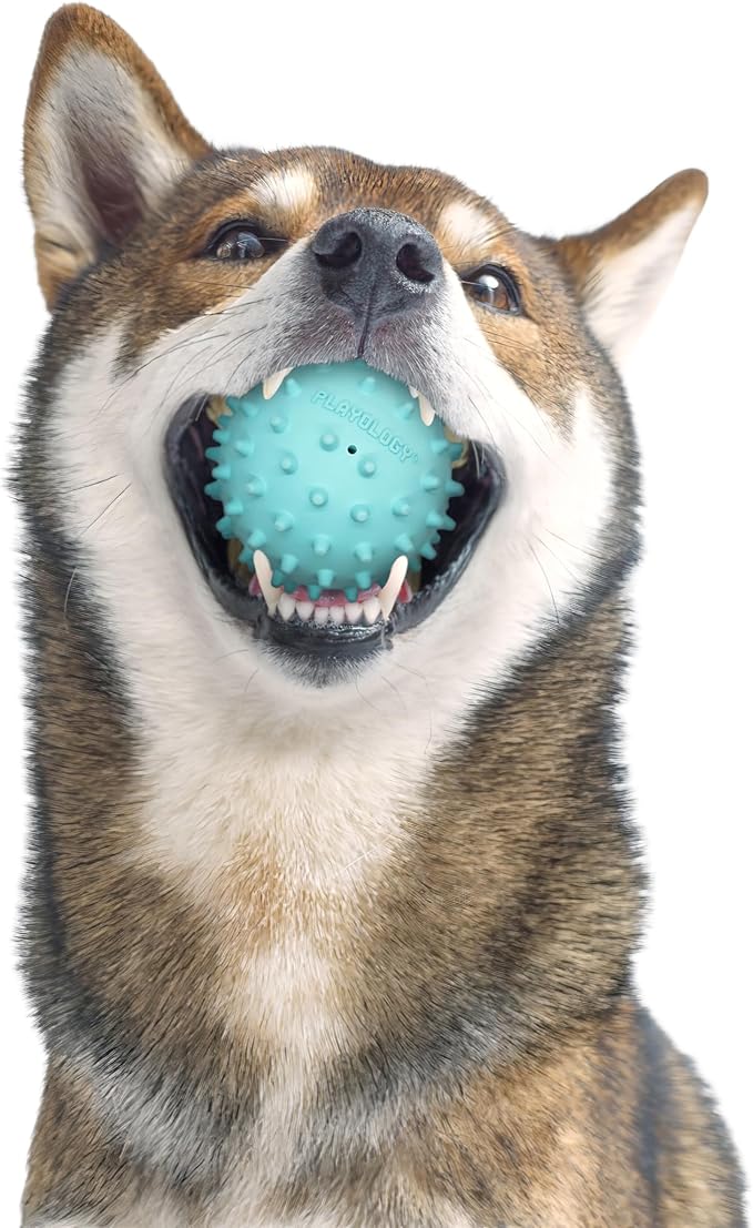 Playology Dog Toys | Spiky Chew Ball for Medium Dogs | Peanut Butter Scented Toy for Tough Chewers - Easy to Clean and Made from Non Toxic Materials