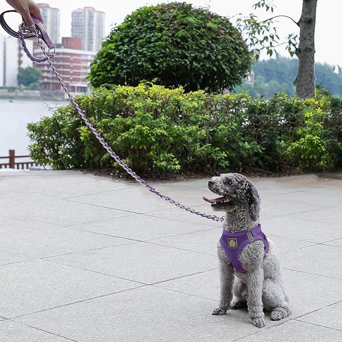 Chain Dog Leash Chew Proof Metal Leash for Medium Large Dogs, Chain Link Dog Anti Chew 5.2FT / 4FT Strong Anti Bite Comfortable Soft Padded Handle (Purple, 5.2FT(30-80lb))