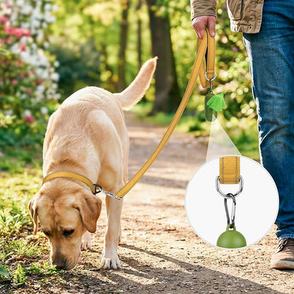 Joytale Dog Leash, 6 FT Double-Sided Reflective, Padded Handle Nylon Heavy Duty Leashes for Medium & Large Dogs Walking, Khaki
