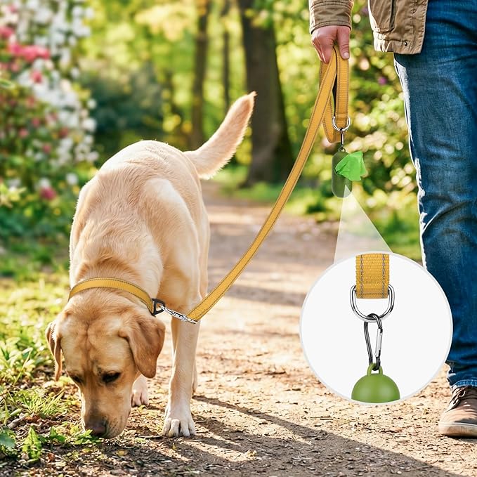 Joytale Dog Leash, 4 FT Double-Sided Reflective, Padded Handle Nylon Heavy Duty Leashes for Small Dogs Walking, Khaki