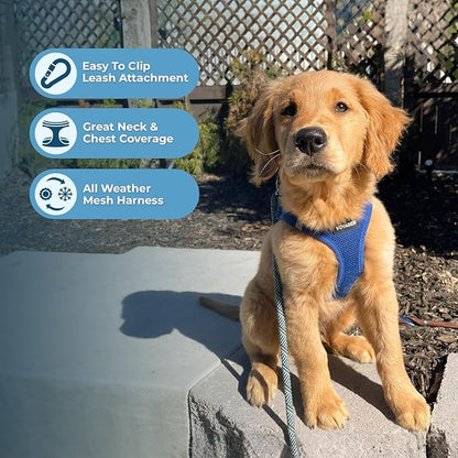 Best Pet Supplies Voyager Step-in Air Harness - All Weather Mesh, Reflective, No Pull Harness for Dogs, Cats - Secure with Hook & Loop Fastener, Buckle, Double D-Rings - Royal Blue, L