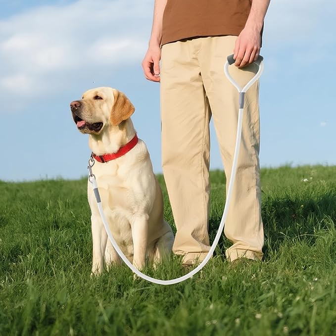 Mile High Life Dog Leash, with Comfortable Padded Handle, White Nylon Rope Leash with Steel Tips, Heavy Duty 4 Feet Pet Leashes (White,48 Inches)