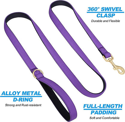Didog 5FT Colorful Nylon Dog Leash with Soft Full-Length Padding, Lightweight and Durable Pet Leash for Medium and Large Dogs, Purple, M