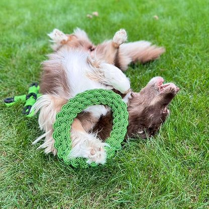 Jolly Pets TIK-Tak-Tugzz Large/XL O Rope Dog Toy