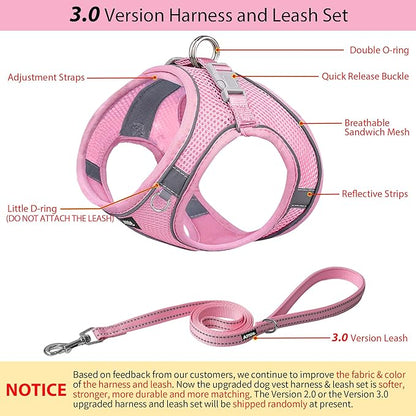 AIITLE No Pull Dog Harness and Leash Set, Step in Adjustable Dog Harness with Padded Vest for All Weather, Dog Leash with Soft Padded Handle, Easy to Put on Small and Medium Dogs Pure Pink S