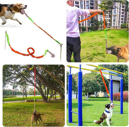 Outdoor Dog Toy with Stake,Interactive Dog Toy for Aggressive Chewer, Tug of War Toy Ball for Large Breed (Orange)