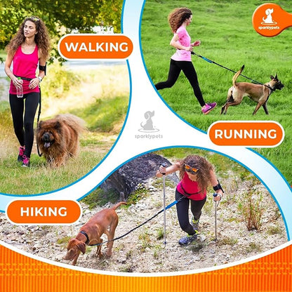 SparklyPets - Hands Free Dog Leash with Reflective Stitches - Waist Leash for Male Dog Walking, Hiking, Training, Jogging, Canicross, Running - Medium & Large Dogs, Gradient Blue