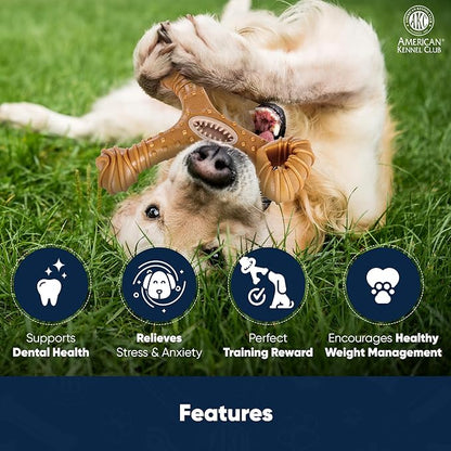 American Kennel Club Training Dog Chew Toy, Wishbone Dog Toy with Treat Pocket, Durable Dog Toy for Moderate Chewers, Chicken Scented for Long-Lasting Engagement, Supports Dental Health