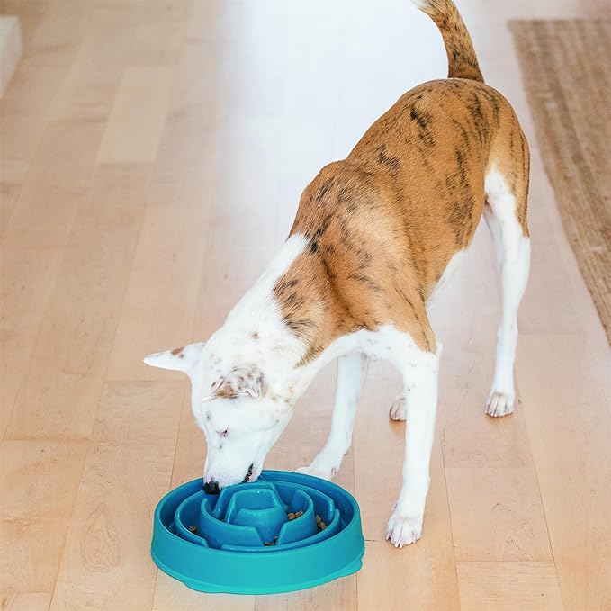 Outward Hound Fun Feeder Slo Bowl – Large 4‑Cup Capacity, Slow Feeding, Medium to Large Dogs, Non‑Slip, Turquoise, Drop Pattern