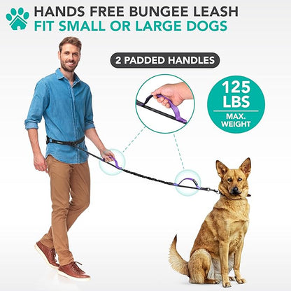 PetAmi Heavy Duty Hands Free Dog Leash, Adjustable Waist Belt for Large Dog Walking Up to 125 lbs, Bungee Leash for Pet Running, Hiking, Reflective Safety for Jogging, Biking, Purple Handle