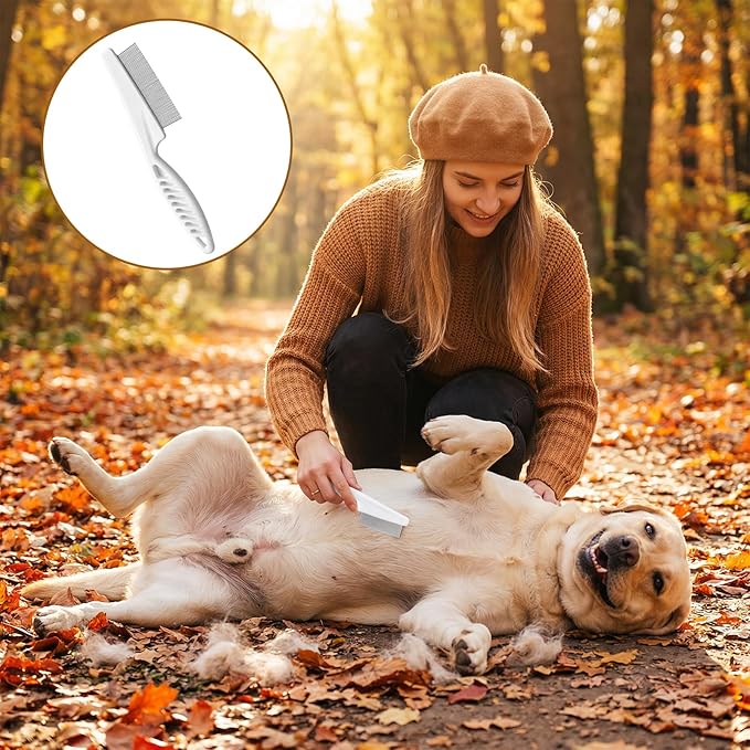 2Pcs Guinea Pig Brush, Fine-Tooth Stainless Steel Flea Brush for Dogs Rounded Teeth Grooming Metal Comb for Dogs, Chinchillas, Ferrets, Guinea Pigs, Rabbits
