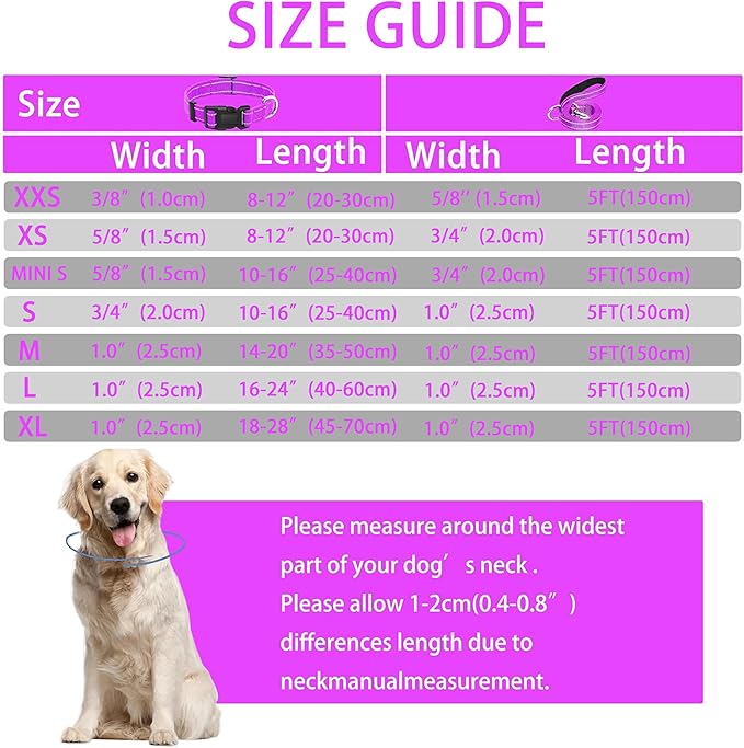 Reflective Dog Collar with Safety Locking Buckle, Adjustable Soft Breathable Nylon Collars for Small, Medium and Large Dogs(Collar+Leash XS Width 3/8" Rosered)
