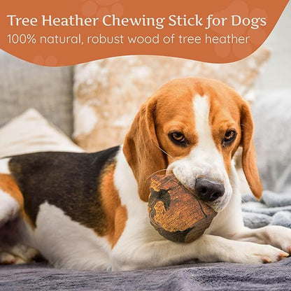 Wildfang® Briar Wood Chewing Root, Medium - Splinter Free Wood Dog Chew Toys for Aggressive Chewer, Odorless Natural Teething Toys Dogs Dental Health, Healthy Gums (for Dogs 33-55 lbs), Pack of 1