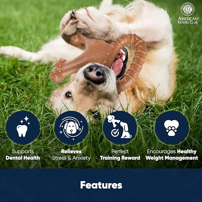 American Kennel Club AKC Training Wood-Infused Dog Chew Toy – Moderate Chewers, Durable & Long-Lasting, Chicken Scented, Supports Dental Health – Multiple Shapes
