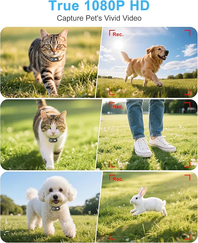 Dog & Cat Camera Collar with Phone APP, 1080P HD Video Recording, XS/M-Size Pet POV Cam for Dogs & Big Cats, Cordless Pet Collar Cameras with APP Viewing
