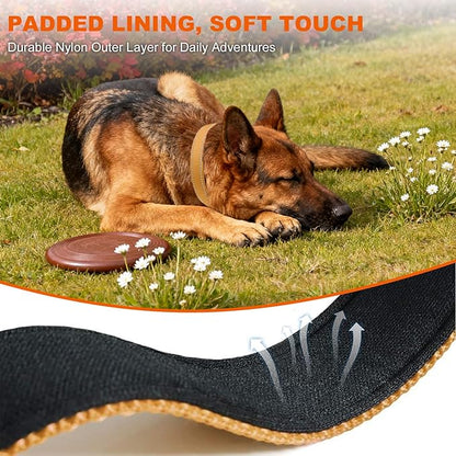 Taglory Reflective Dog Collar with Safety Locking Buckle, Soft Neoprene Padded Dog Collar for Extra Large Dogs, Metal D-Ring, Adjustable Nylon Neck Strap for Walking, Training & Running, Tan, XL