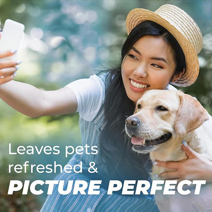 TropiClean Pure 2-in-1 Dog Perfume Spray, Breezy Fresh Scent, Long Lasting Deodoziring Spray for Smelly Dogs, Cleans and Moisturizes Skin & Coat, 8oz.