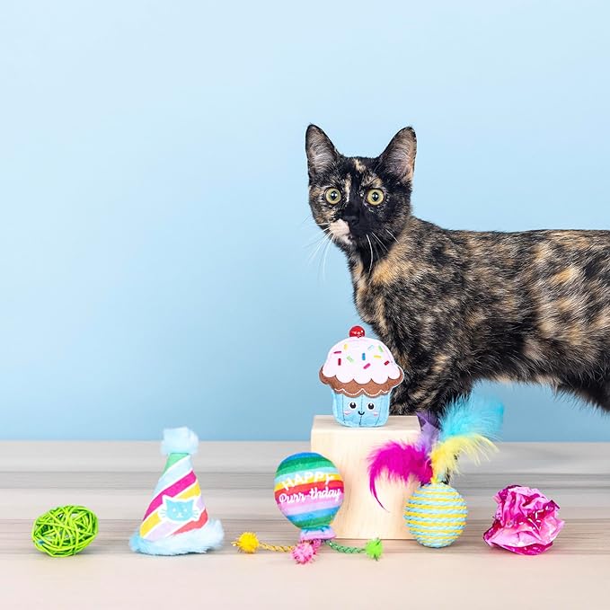 Fringe Studio Happy Purr-THDAY, Set of 6, Multipack Cat Toy Set, Pet Shop Collection (610007)