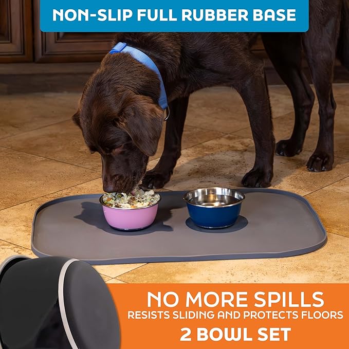 Master Pet Supply Stainless Steel Dog Bowls Set of 2 (16 Oz Each) with Non-Slip Rubber Base - Black Velvet - Basic Dog Food Bowl Water & Food Bowls for Small Medium Large Dogs & Cats, Metal Dish
