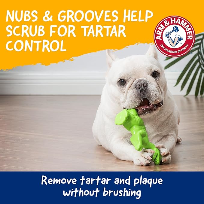 Arm & Hammer for Pets Nubbies Dental Toys T-Rex Dental Chew Toy for Dogs Best Dog Chew Toy for Moderate Chewers Reduces Plaque & Tartar Buildup Without Brushing, Mint Flavor (Pack of 24)