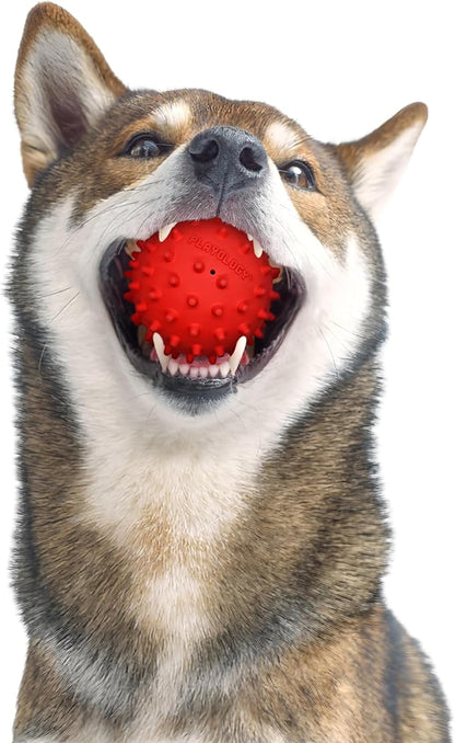 Playology Dog Toys | Spiky Chew Ball for Medium Dogs | Beef Scented Toy for Tough Chewers - Easy to Clean and Made from Non Toxic Materials