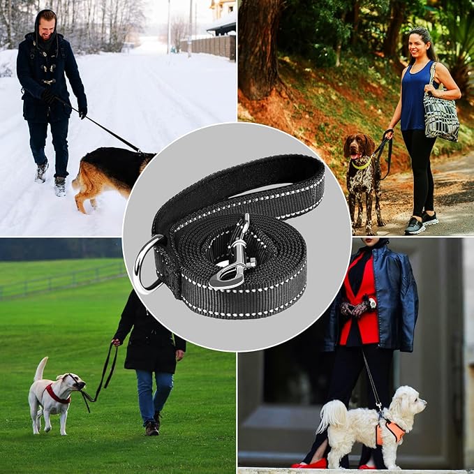 Dog Leash 6 FT, Double Sided Reflective Dog Leash with Soft Padded Handle, Durable Metal Snap Hook Nylon Heavy Duty Leashes for Small Medium and Large Dogs, 1 Inch Wide, Black