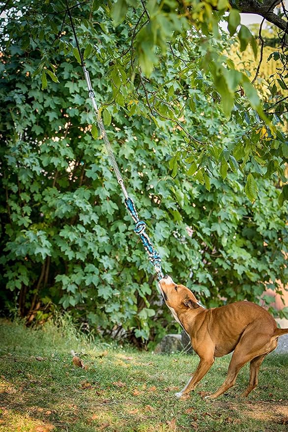 YES4QUALITY Flirt Pole for Dogs, 2 Durable Spring Poles with Strong Dog Rope Toy, Heavy Duty Lure Pole for Dogs of Any Size, Dog Toy for Fun Obedience Training & Exercise, Pull & Tug of War Toy