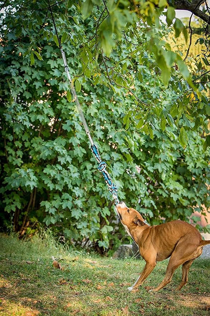 YES4QUALITY Flirt Pole for Dogs, 2 Durable Spring Poles with Strong Dog Rope Toy, Heavy Duty Lure Pole for Dogs of Any Size, Dog Toy for Fun Obedience Training & Exercise, Pull & Tug of War Toy