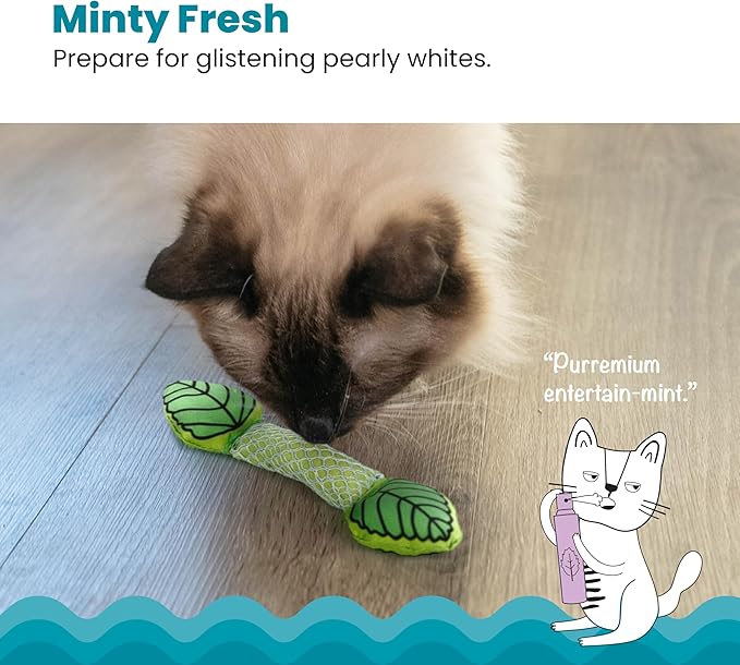 Catstages Fresh Breath Mint Stick Dental Cat Chew Toy with Catmint, Teeth Cleaning & Fresh Breath, Solo or Interactive Play, Green