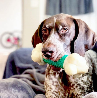 Nylabone Double Action Bone Power Chew Toy for Dogs, Dog Toys for Aggressive Chewers, Bacon Flavor, X-Large - 50+ lbs, 1 Count