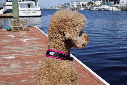 Black Rhino Dog Collars for Medium Dogs - Adjustable Reflective Heavy Duty Dog Collar with Ultra-Soft Neoprene Padding - Weatherproof, Durable, and Comfortable - Ideal for Active Dogs - Pink and Black