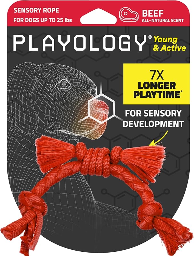 Playology Dog Toys | Puppy Toy Sensory Rope Tug of War Rope for Dogs and Puppies | Small Beef Scented Dog Toy - Easy to Clean and Made from Non Toxic Materials